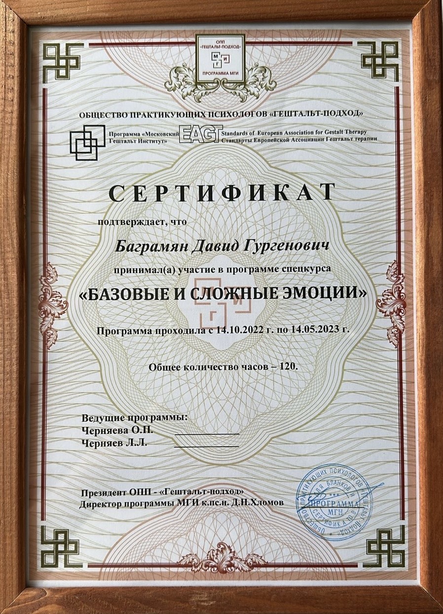 Разные фотографии (отзывы, мероприятия, психолог и др.) Баграмян Давид Гургенович