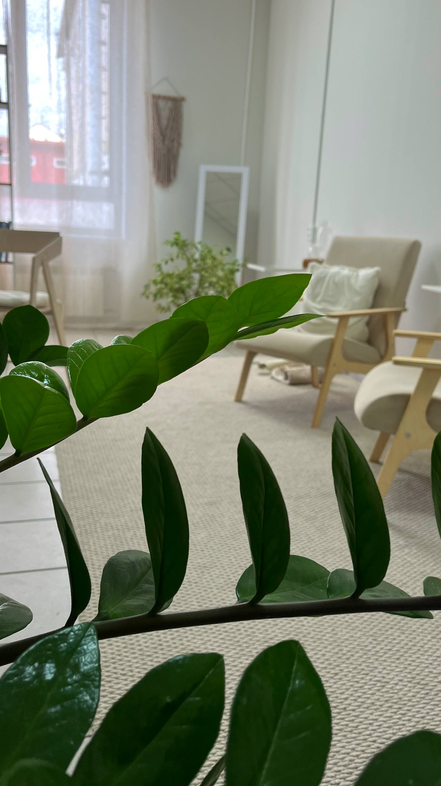 Разные фотографии (отзывы, мероприятия, психолог и др.) Николаева Валерия Игоревна